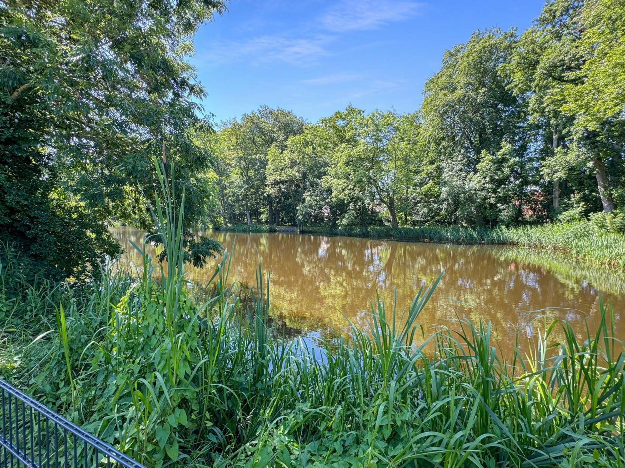 Cblue: Seeblick, Kamin, Wallbox, Natur Bentwisch Екстер'єр фото